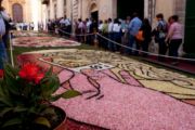Noto, Infiorata 2009
