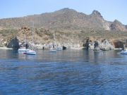Calajunco