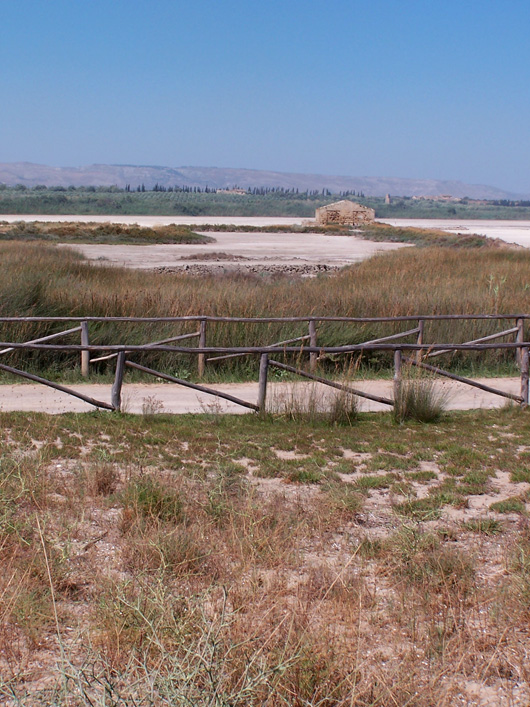 Vendicari, vista delle saline