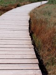 Vendicari, passerella in legno