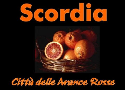 Logo del sito ufficiale del Comune di Scordia, città delle arance rosse