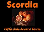 Logo del sito ufficiale del Comune di Scordia, città delle arance rosse