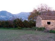Campagna con aranci e casa abbandonata, sullo sfondo i monti Iblei