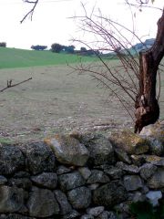 Muro a secco