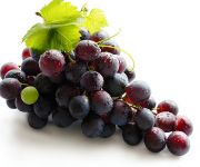 vendemmia-piedimonte-eteno-2009.jpg